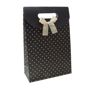 Paper Bags with Ribbon or Plastic handle